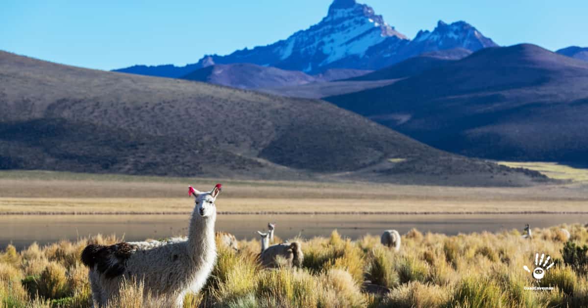 Bolívia - Países mais Baratos para Viajar
